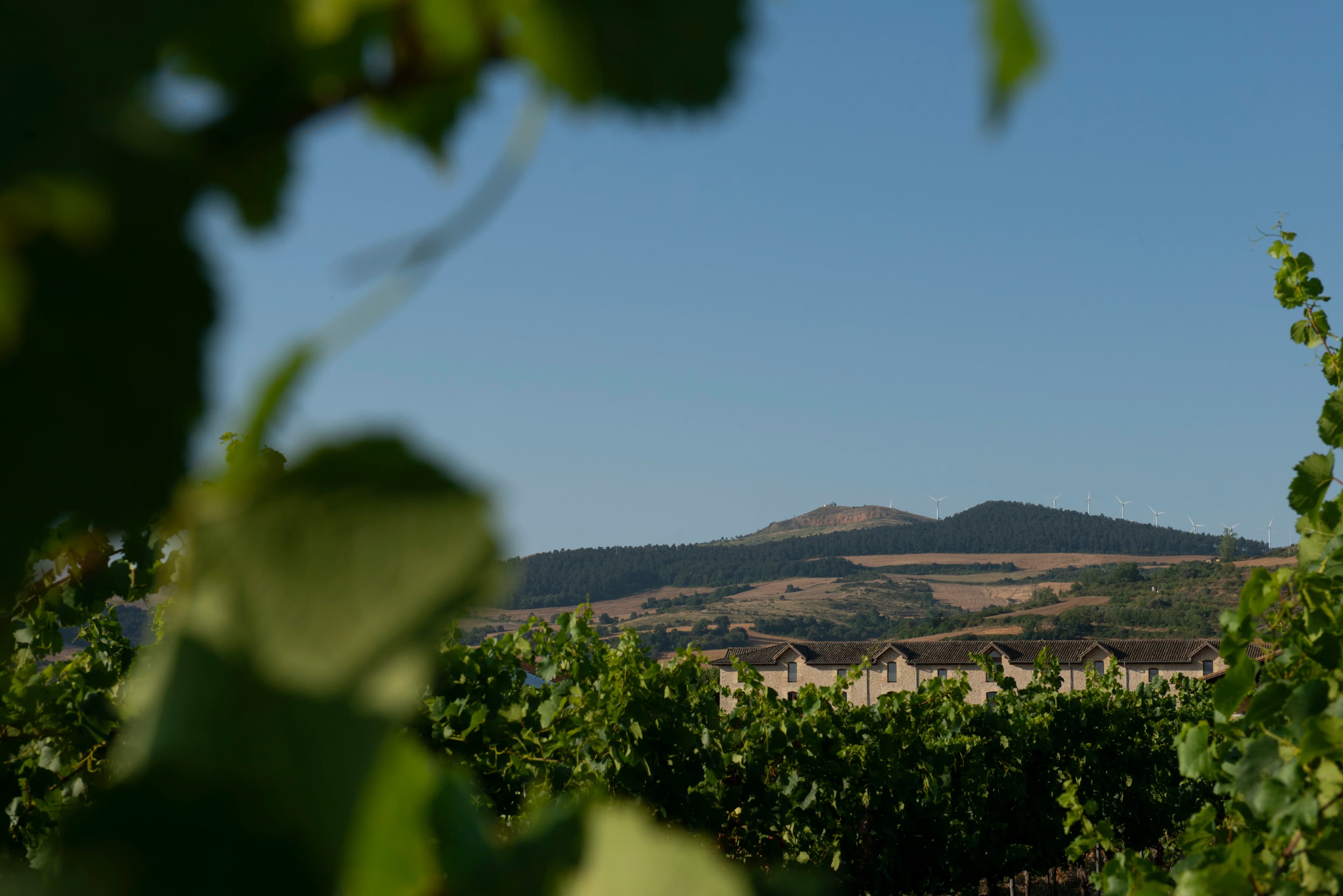 La bodega con denominación de origen protegida Pago más al norte de España