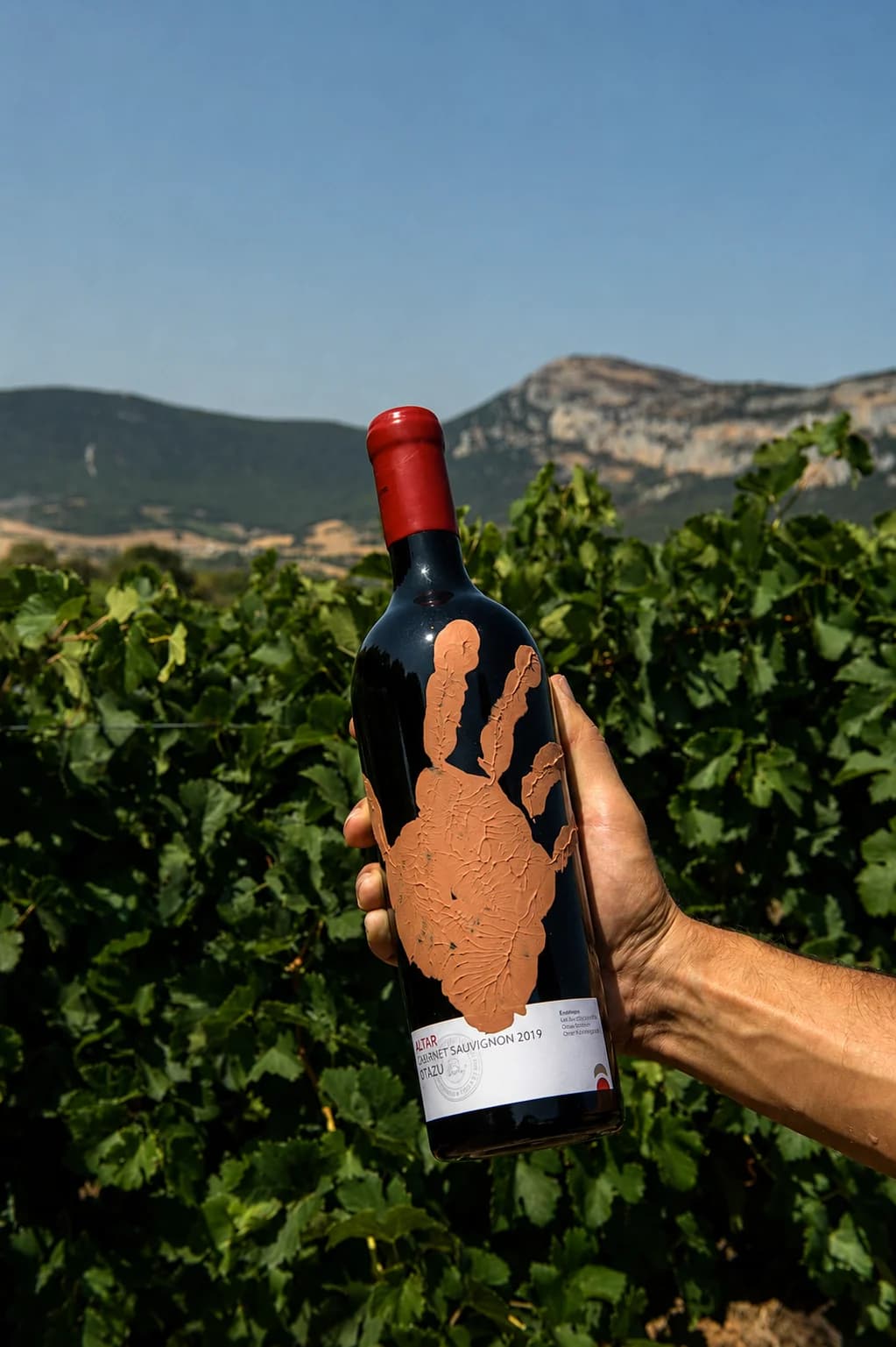 Altar Cabernet Sauvignon 2019